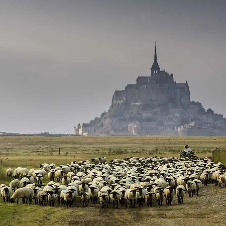 Appartement Lumineux A Jullouville, Proche Plage, Avec Parking Et Wifi Gratuit - Fr-1-361-565 *