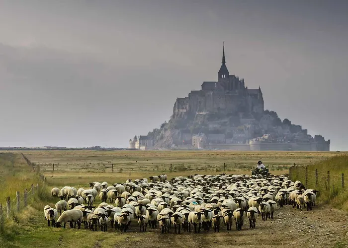 Apartament Lumineux A Jullouville, Proche Plage, Avec Parking Et Wifi Gratuit - Fr-1-361-565 *